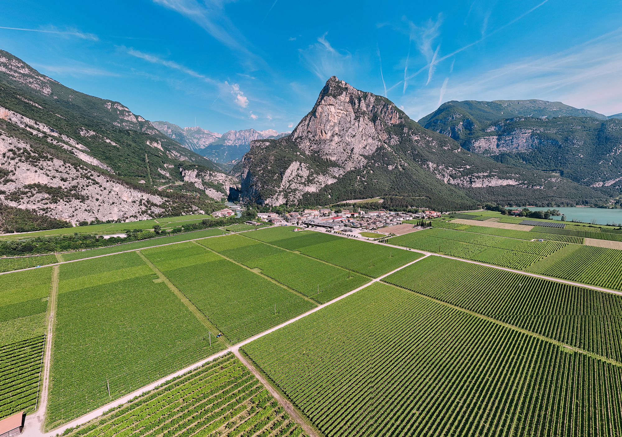 TOBLINO SRL — foto 3